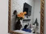 Precio en las fotos
