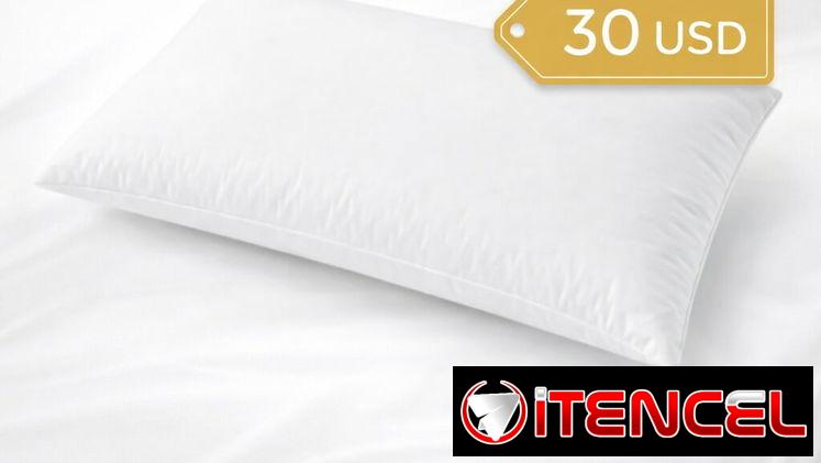 ALMOHADA HOLLOFIL