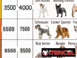 b2a69465c0830e2c8f7fadeea0e30a4147bb68dd91ff513e9d67918e5d0916ad