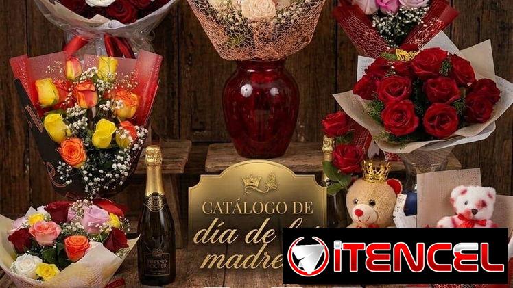 Flores peluches y regalos para Mamá envíos