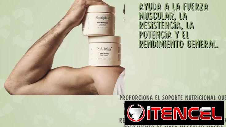 Creatina FARMASI