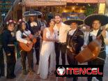 Mariachis a sus servicios