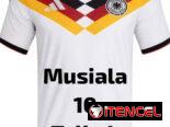 Hola, le escribo Pullover o Camisetas de Fútbol( Arg-Bra-Ale-Por-Esp-Ita-Fra-Ing-H