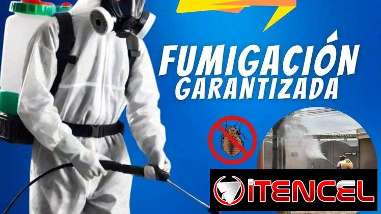 Fumigador onil