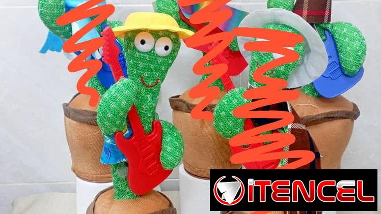 Cactus bailarín con accesorios