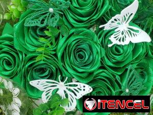 b4b276703d872aada2f3378c556dee43d48145bb7ddf3cd8e6ef17f761de54a1