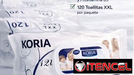 TOALLITAS HÚMEDAS 🫧