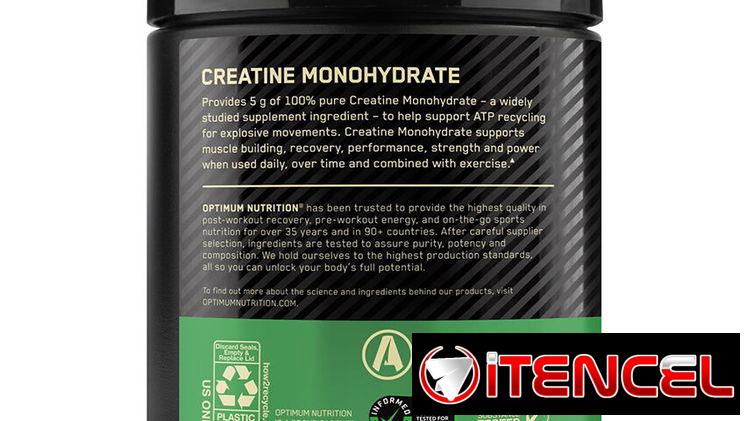 CREATINA MONOHIDRATADA ON 60 SERVICIOS SABORIZADA