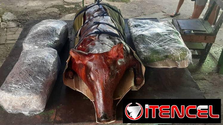 🔥 Cerdo Asado a Domicilio en La Habana – Lomos, Piernas y Cerdos Enteros 🔥