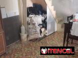 Se vende casa amplia a una cuadra de la calzada de 10 de octubre