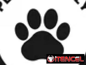b5ea98198b38ebb97eb6d7c67e8cf2670dde4fd308c93d2847cedcb0d7e9d7c2
