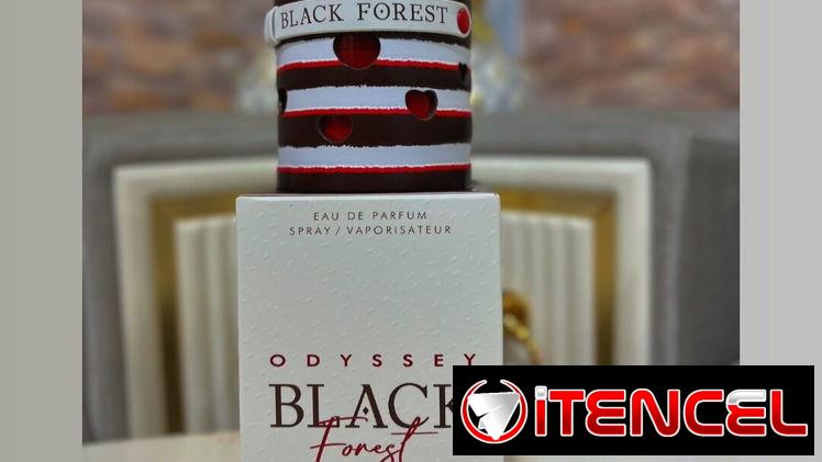 Perfumes Originales Importados. Diseñador, Árabe y Nicho.  Todo lo que imagines en nuetra perfumería. Claar Essenza.