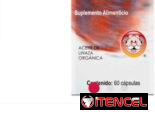 Suplemento Gingkobiloba