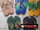Chancletas Havaiana