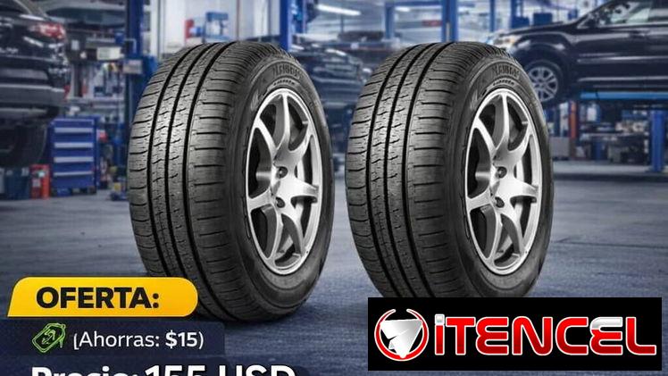 PAREJA DE NEUMÁTICOS 225/65R16C 112/110R EV516 EG