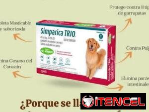 b73228d3d3c3a69a15ab64523077315b852ea2a1e296c155a86bb260711d56fb