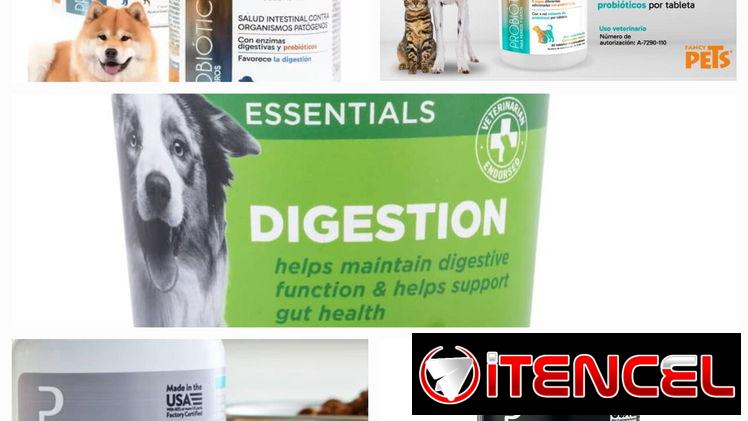 Probióticos para Perros y Gatos