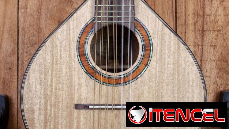 Bandurria – Tapa de Gmelina y parte trasera y laterales de Acacia