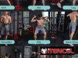 Set de ligas elástico de resistencia hasta 100lbs