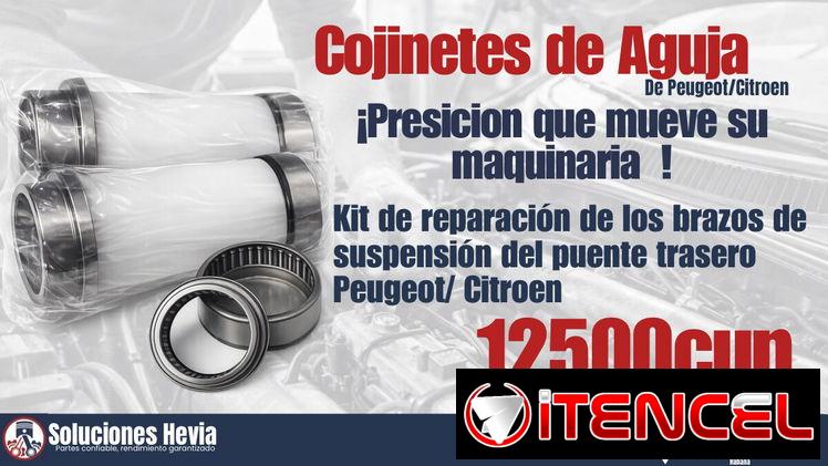COJINETES DE AGUJA/ PEUGEOT / CITROEN