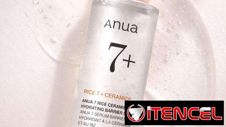 Skincare, cuidado capilar y bienestar