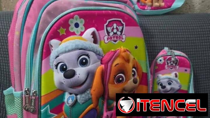 Mochila con merendero térmico y cartuchera de Paw Patrol