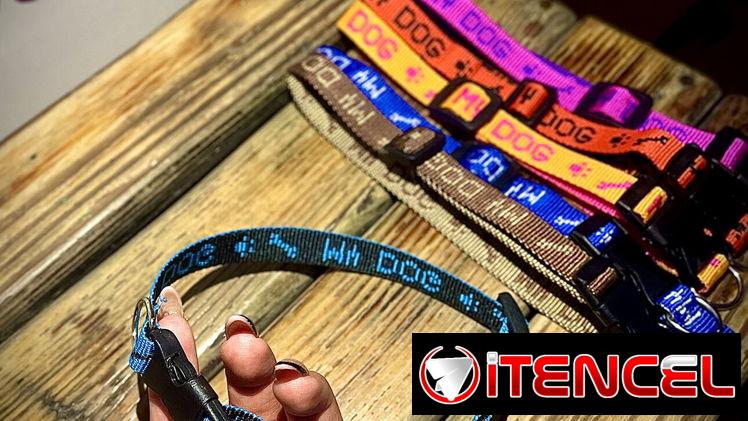 Collar para perros pequeños y medianos