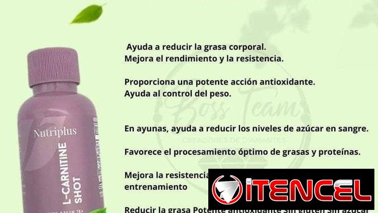 🔥Quema grasa con L-CARNITINA SHORT🔥