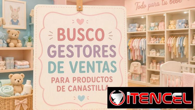 BUSCO GESTORES DE VENTA, PERSONAS SERIAS Y CON DESEOS DE TRABAJAR.