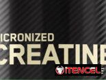 ⚡️Creatina monohidratada y Tribulus Terrestris Optimum Nutrition y Horbaach