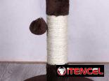 RASCADORES PARA GATOS 🐱  DOG&CAT
