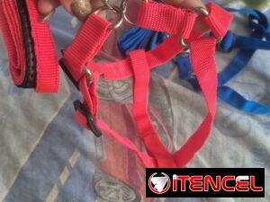 bbb554071d8e79937cbf0264a8bae588f65f4d548e174cffd15b2573d14aceae
