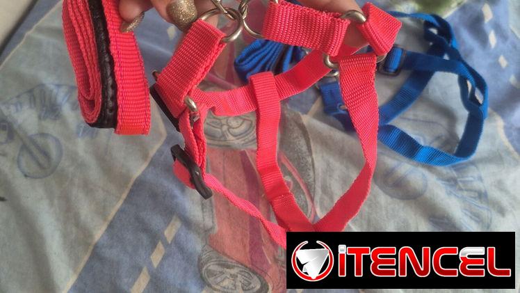Collares para perros medianos-pekeño