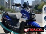 MOTO COMBUSTIÓN DAKAR PRO 150CC