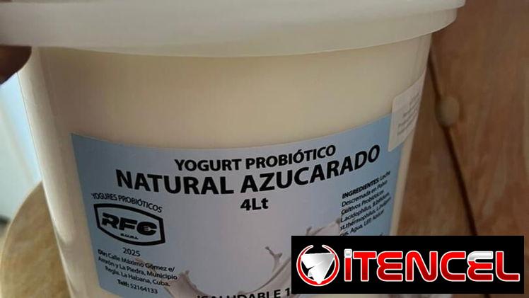 Yogurt Probiótico 4lt
