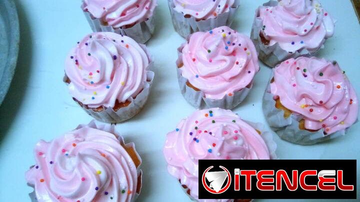Cupcakes en 100 cup cada uno.