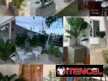 CREAMOS Y DISEÑAMOS JARDINES CON CÉSPED, PLANTAS, PIEDRAS DECORATIVAS, MACETAS Y TODO LO QUE USTED DESEE. JARDINEROS