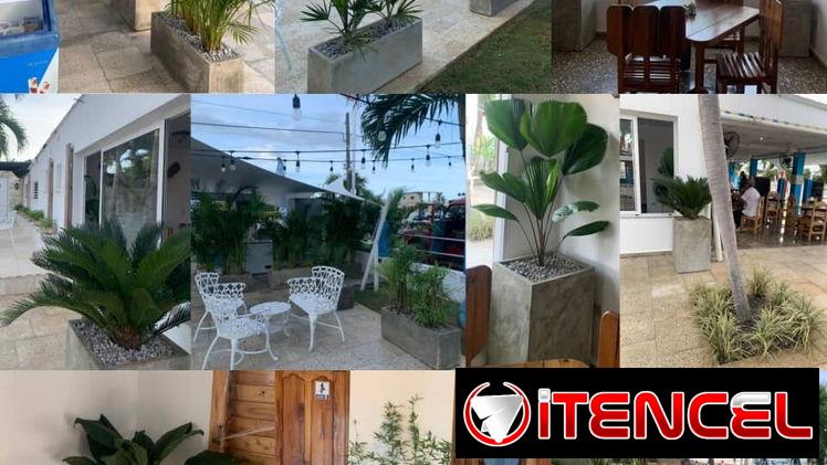 CREAMOS Y DISEÑAMOS JARDINES CON CÉSPED, PLANTAS, PIEDRAS DECORATIVAS, MACETAS Y TODO LO QUE USTED DESEE. JARDINEROS