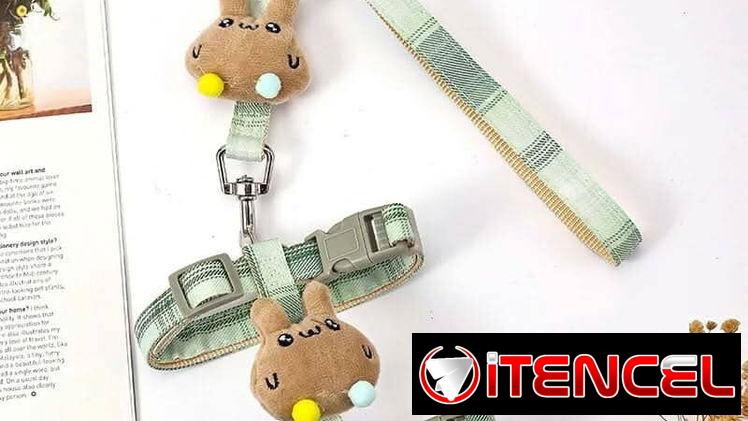 Pechera y correa talla S para mascotas