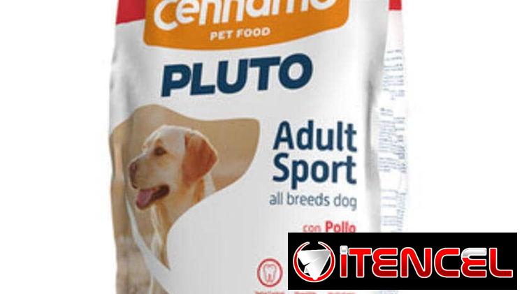 Pienso para perros y gatos