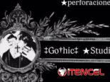 Perforaciones y Piercings