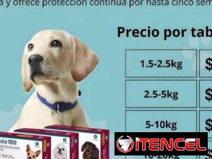 bdf10728edaf2876b1edf0f0abbbee3329c9548208cdf35c0761240259e13a3f