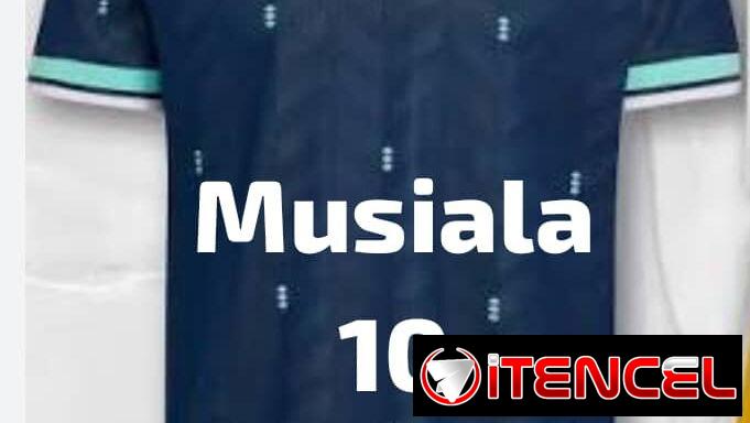 Pullover o Camisetas de Fútbol( Arg-Bra-Ale-Por-Esp-Ita-Fra-Ing-H