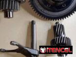 Piñones de triciclo eléctrico