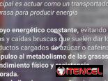 Si quieres aumentar tu energía y hacer tus ejercicios sin problemas, esta es una herramienta clave en tu rutina