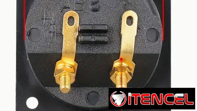 PAREJA DE CONECTORES TRASEROS PARA ALTAVOCES