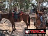 ⚡️🏇Renta casa con paneles solares en Viñales⚡️/Alquila casa en Viñales/Rent a house/Accommodation