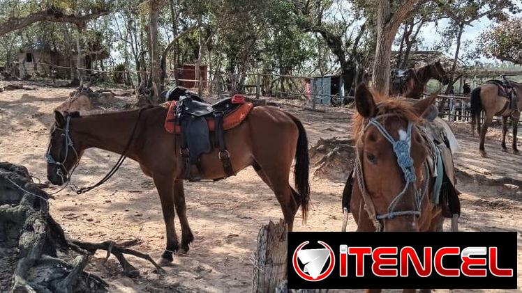 ⚡️🏇Renta casa con paneles solares en Viñales⚡️/Alquila casa en Viñales/Rent a house/Accommodation