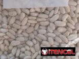 Chicharos ,Frijoles Blancos y Lentejas ,Paquetes de 1kg Importados ,Ver Fotos ,Precio 1000cup ,contactar.