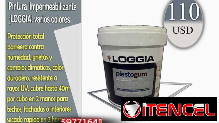 Pinturas Profesionales 🎨 Pinturas Profesionales de Alta Calidad $95